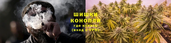 прущая мука Нея