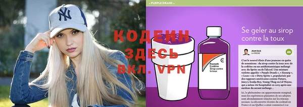 индика Наволоки