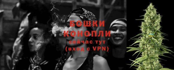 индика Наволоки