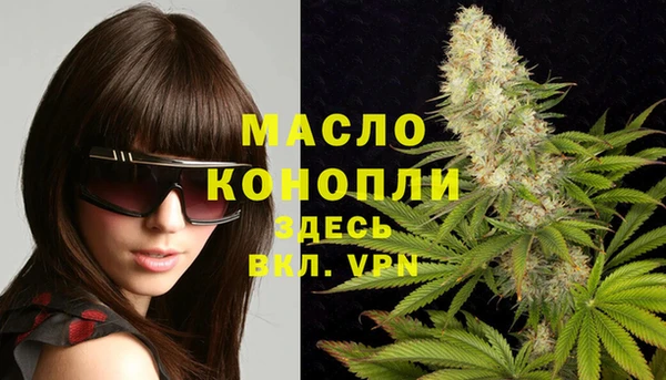 индика Наволоки