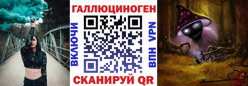 Псилоцибиновые грибы Psilocybe  Йошкар-Ола 
