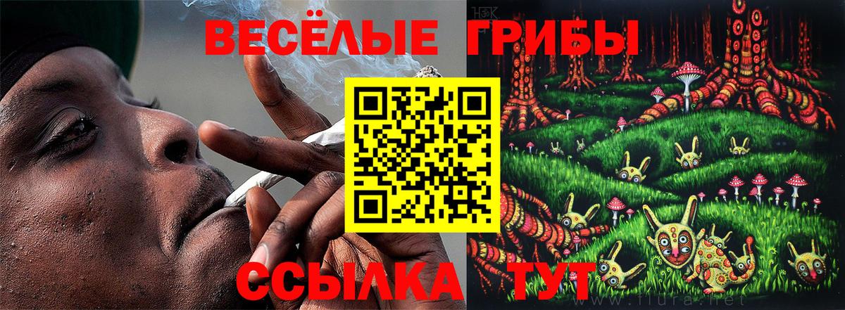 Йошкар-Ола  Псилоцибиновые грибы GOLDEN TEACHER  Вход с VPN 