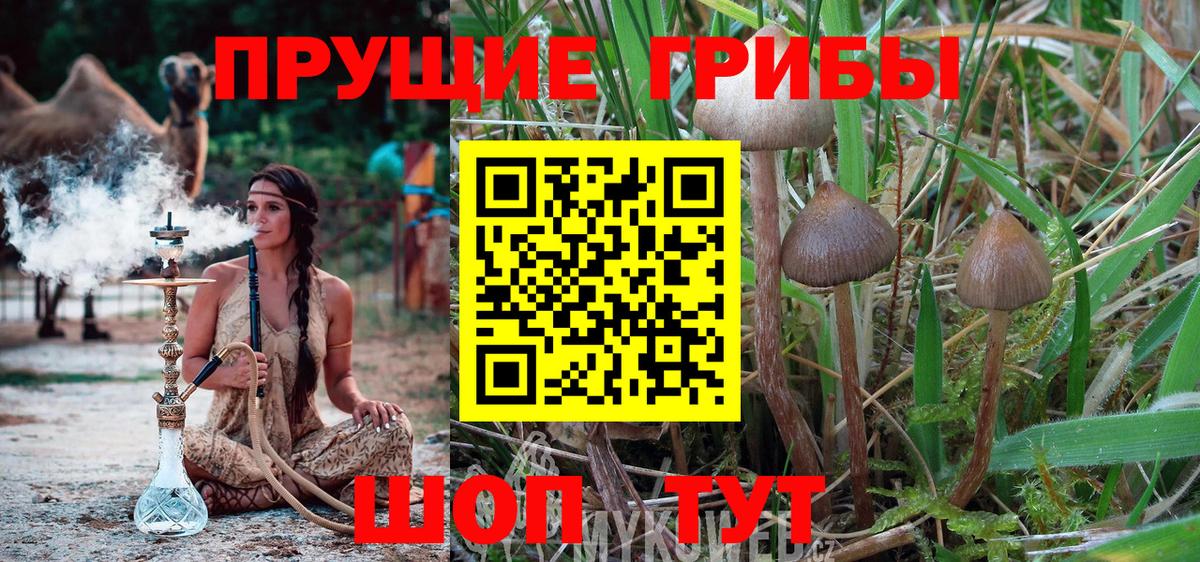 Галлюциногенные грибы прущие грибы Йошкар-Ола