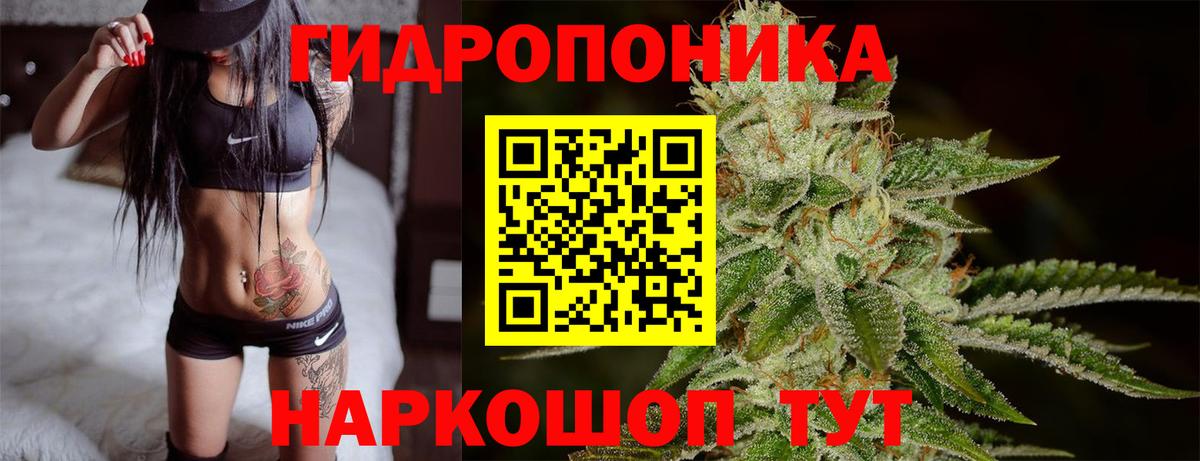 Конопля гибрид  Бошки марихуана SATIVA & INDICA  Бошки марихуана THC 21%  Йошкар-Ола 